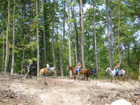 Trail Ride