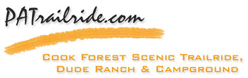 Cook Forest
